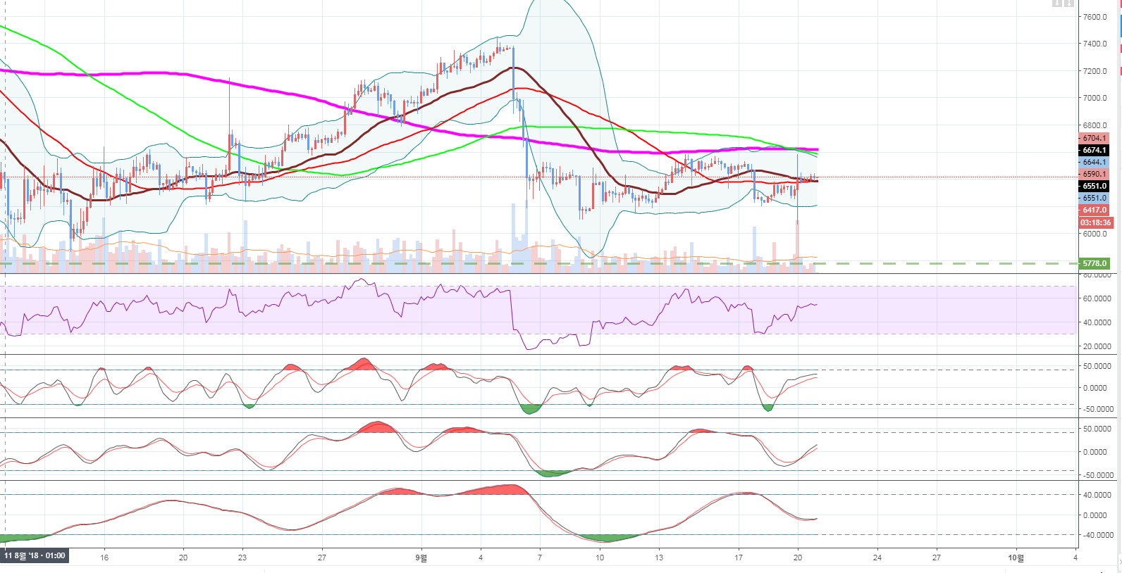 트레이드 스터디