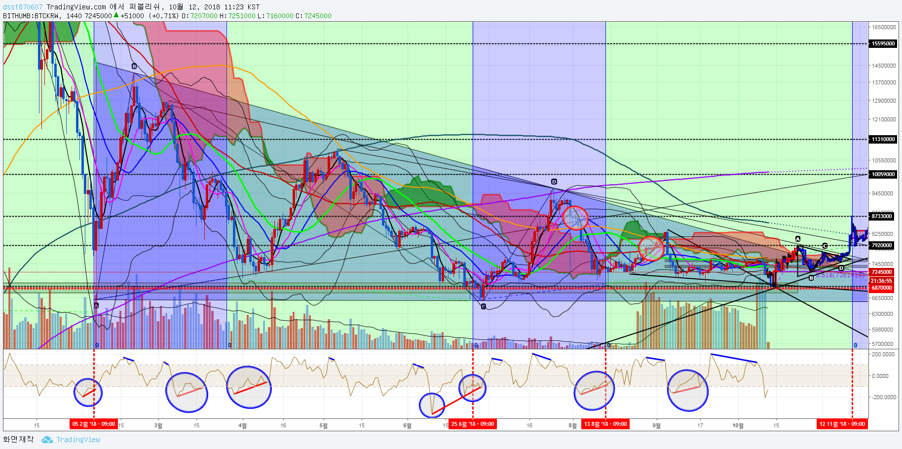 트레이드 스터디