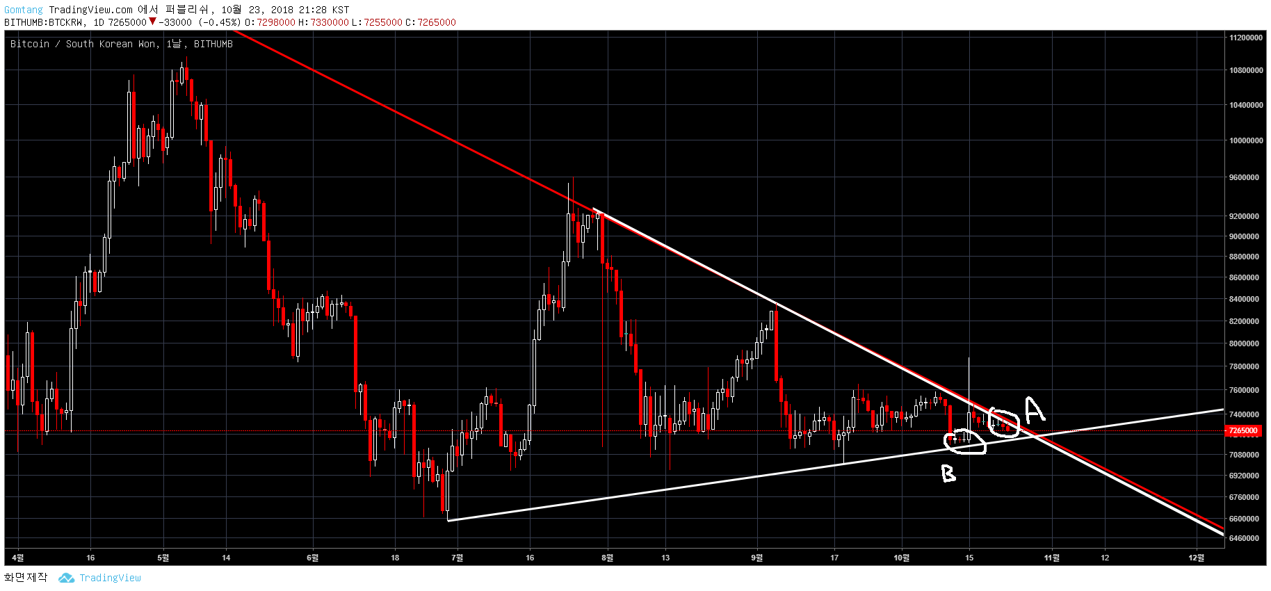 트레이드 스터디