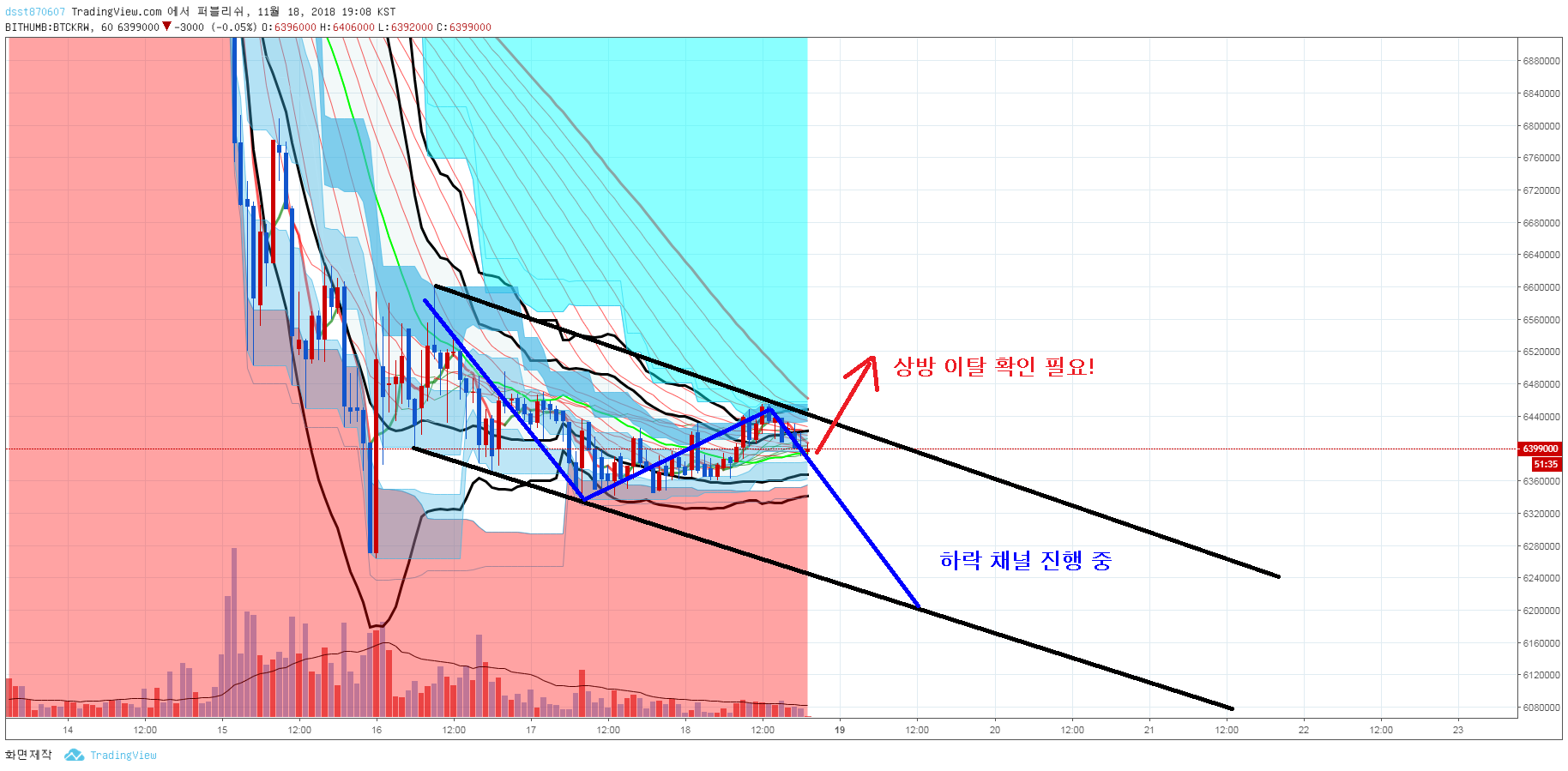 비트코인 채널 (91) 사진