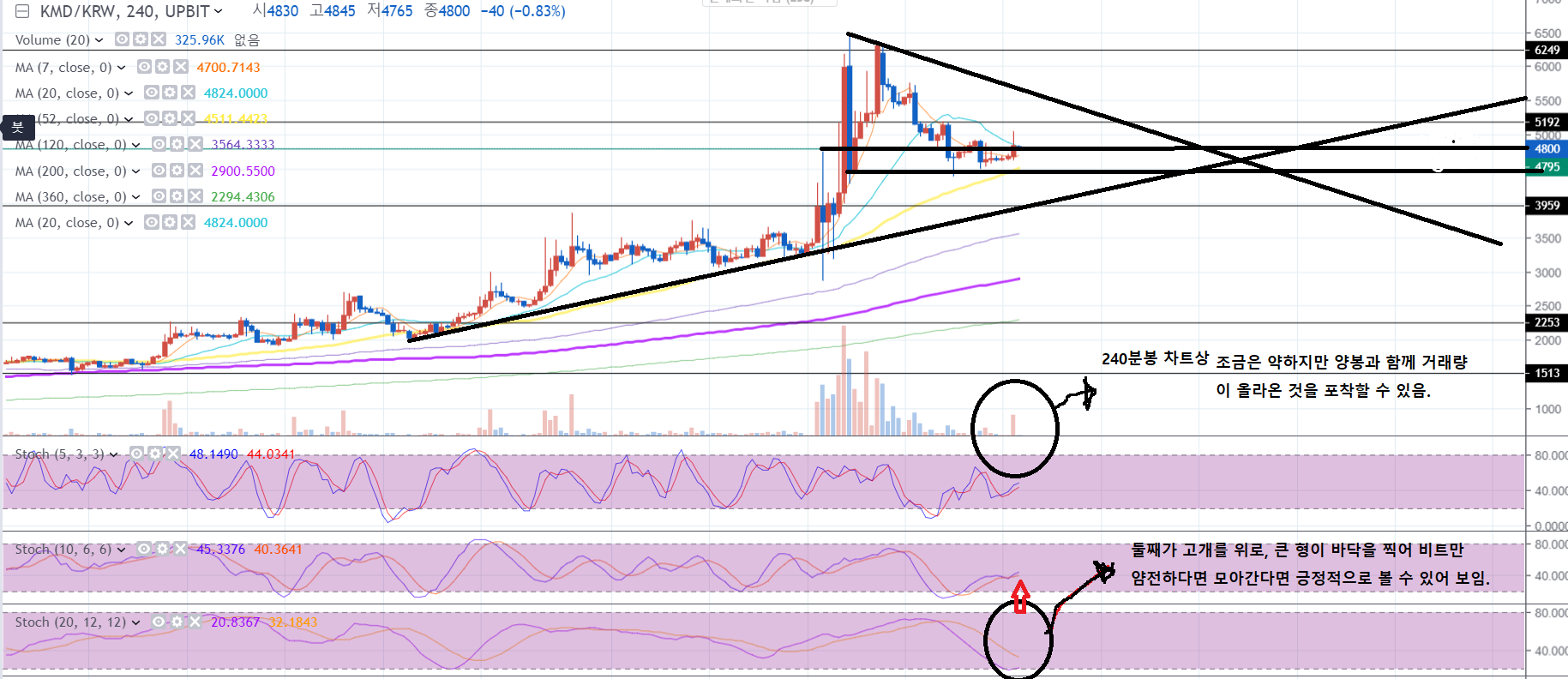 트레이드 스터디